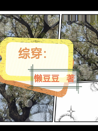 综穿： 封面