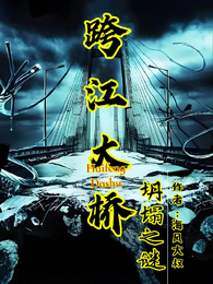 跨江大桥坍塌之谜 封面
