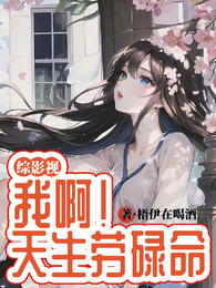 综影视：我啊！天生劳碌命 封面