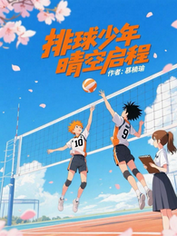 排球少年:晴空启程 封面