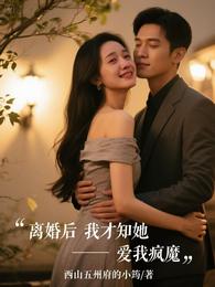 离婚后我才知她爱我疯魔 封面