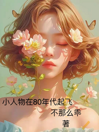 小人物在80年代起飞 封面