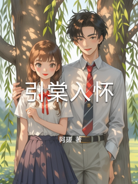 引棠入怀 封面