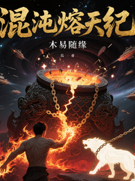 混沌熔天纪 封面