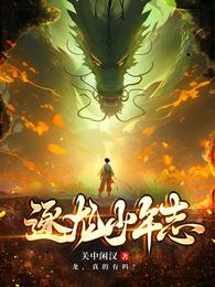 逐龙少年志 封面