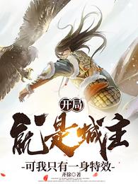 开局就是城主,可我只有一身特效 封面