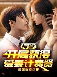 神豪：开局获得爱妻计费器 封面