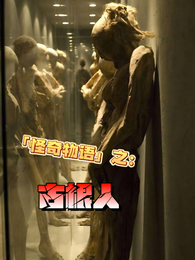 怪奇物语之：古根人 封面