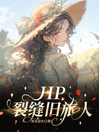 hp裂缝旧旅人 封面