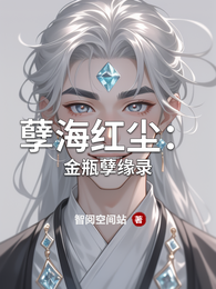 孽海红尘：金瓶孽缘录 封面