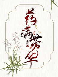 药满芳华 封面