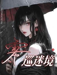 雾巡迷境 封面