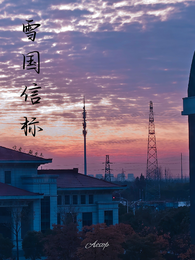雪国信标 封面