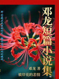邓龙短篇小说集 封面