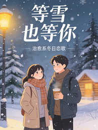 等雪也等你 封面