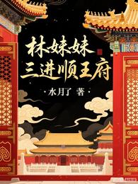 林妹妹三进顺王府 封面