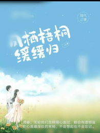 凤栖梧桐缓缓归 封面