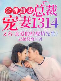 金牌甜妻,总裁宠婚1314 封面