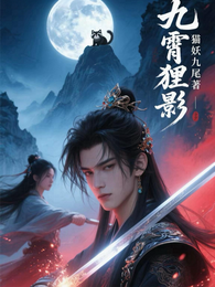 九霄狸影 封面