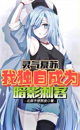 灵气复苏：暗影刺客的我居然是神 封面