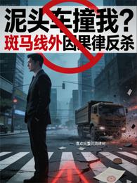 泥头车撞我?斑马线外因果律反杀 封面