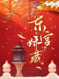 东宫娇藏 封面