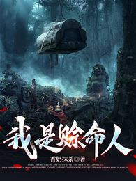 我是赊命人 封面