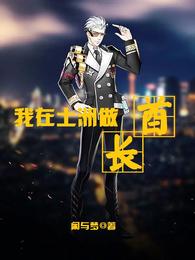 我在土洲做酋长 封面