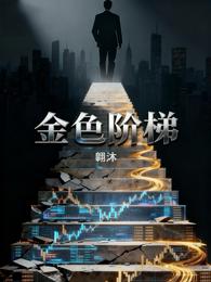 金色阶梯 封面