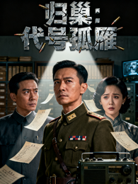 归巢：代号孤雁 封面