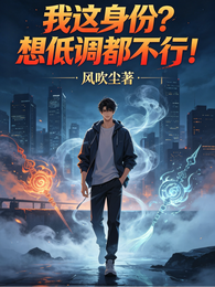 我这身份？想低调都不行！ 封面