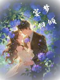 宴梦归倾 封面