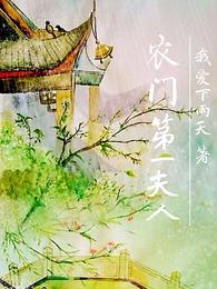 农门第一夫人 封面