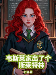 HP之韦斯莱家出了个斯莱特林 封面