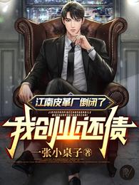 江南皮革厂倒闭了，我创业还债 封面