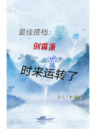最佳搭档：倒霉蛋她时来运转了 封面