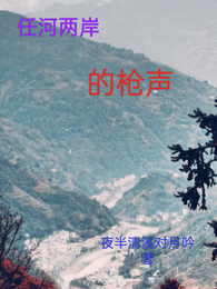 任河两岸的枪声 封面