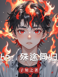 hp:殊途同归 封面