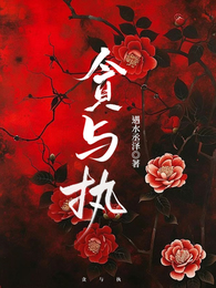 贪与执 封面