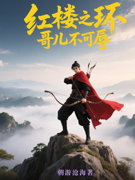 红楼之环哥儿不可辱 封面