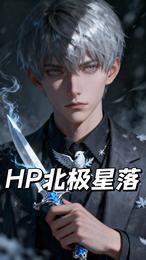 HP北极星落 封面