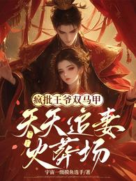疯批王爷双马甲,天天追妻火葬场 封面