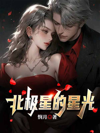 北极星的星光 封面
