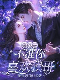 不准你喜欢我哥 封面