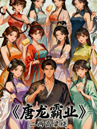 唐龙霸业 封面