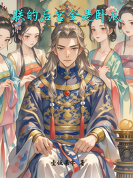 朕的后宫全是卧底 封面