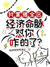 我掌握全区经济命脉怼你咋的了? 封面