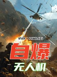 抗战:开局百万自爆无人机 封面