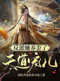 反派她养歪了天道宠儿 封面
