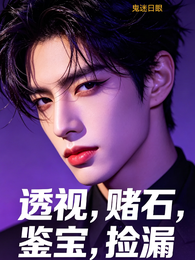 透视,赌石,鉴宝,捡漏 封面